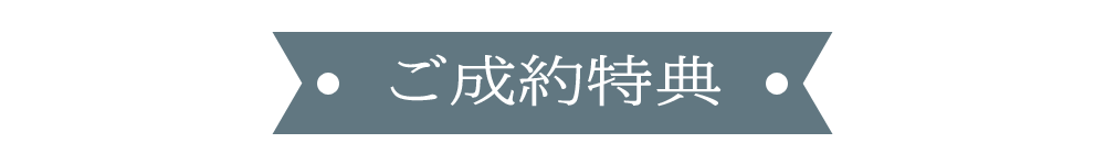 振袖特典