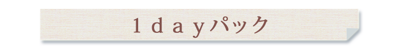 1dayパック